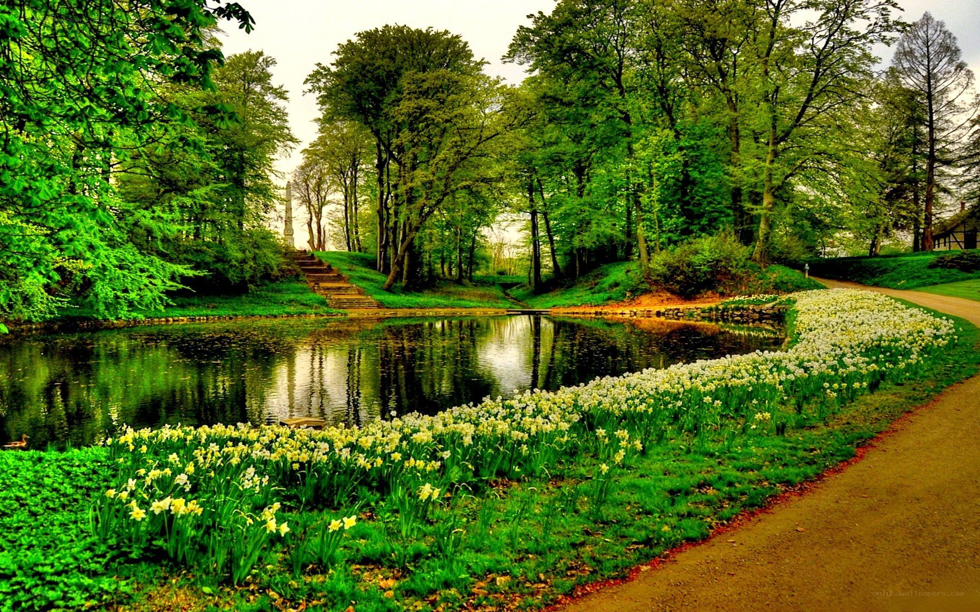 Park with pond and daffodils