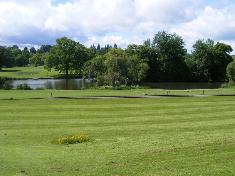 Park with pond and green lawn