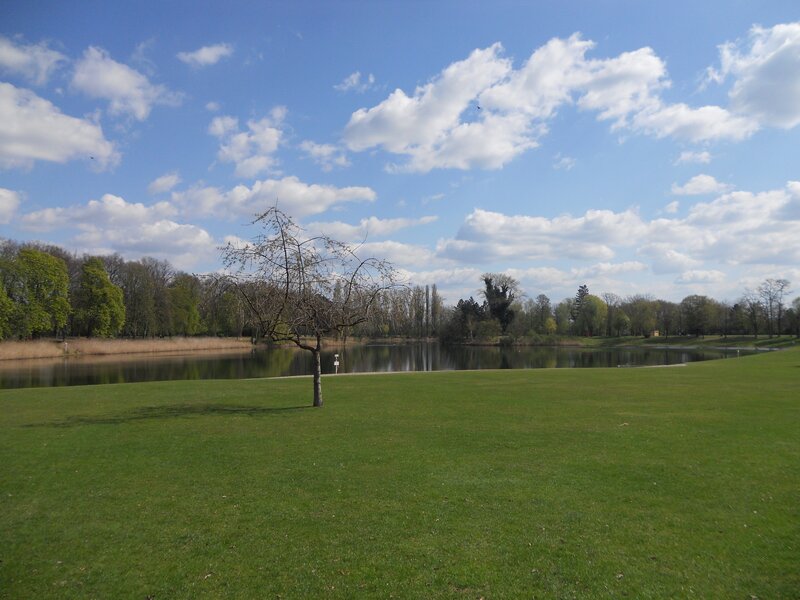 Park with pond and tree
