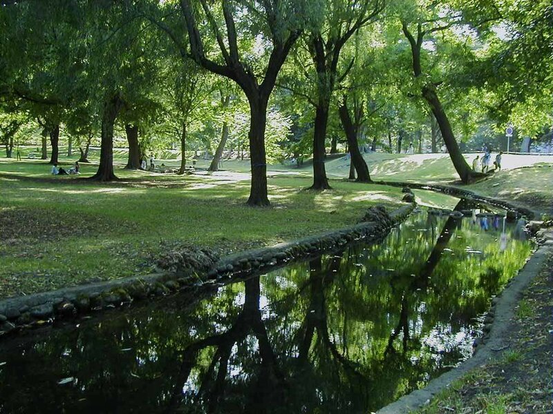 Park with pond and trees