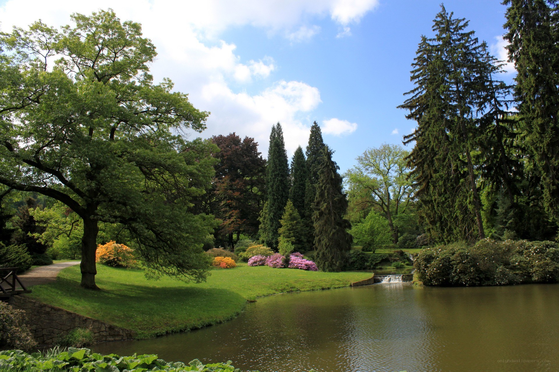 Park with pond and trees