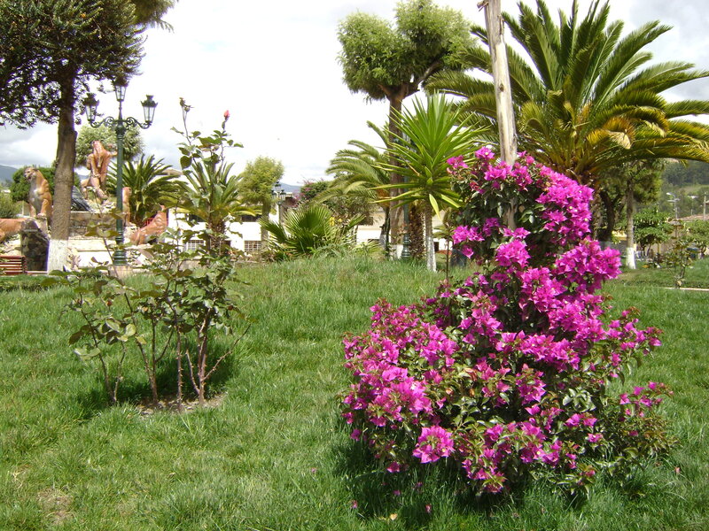 Park with purple flowers and statues