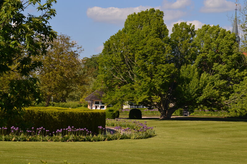 Park with Purple Flowers — Green