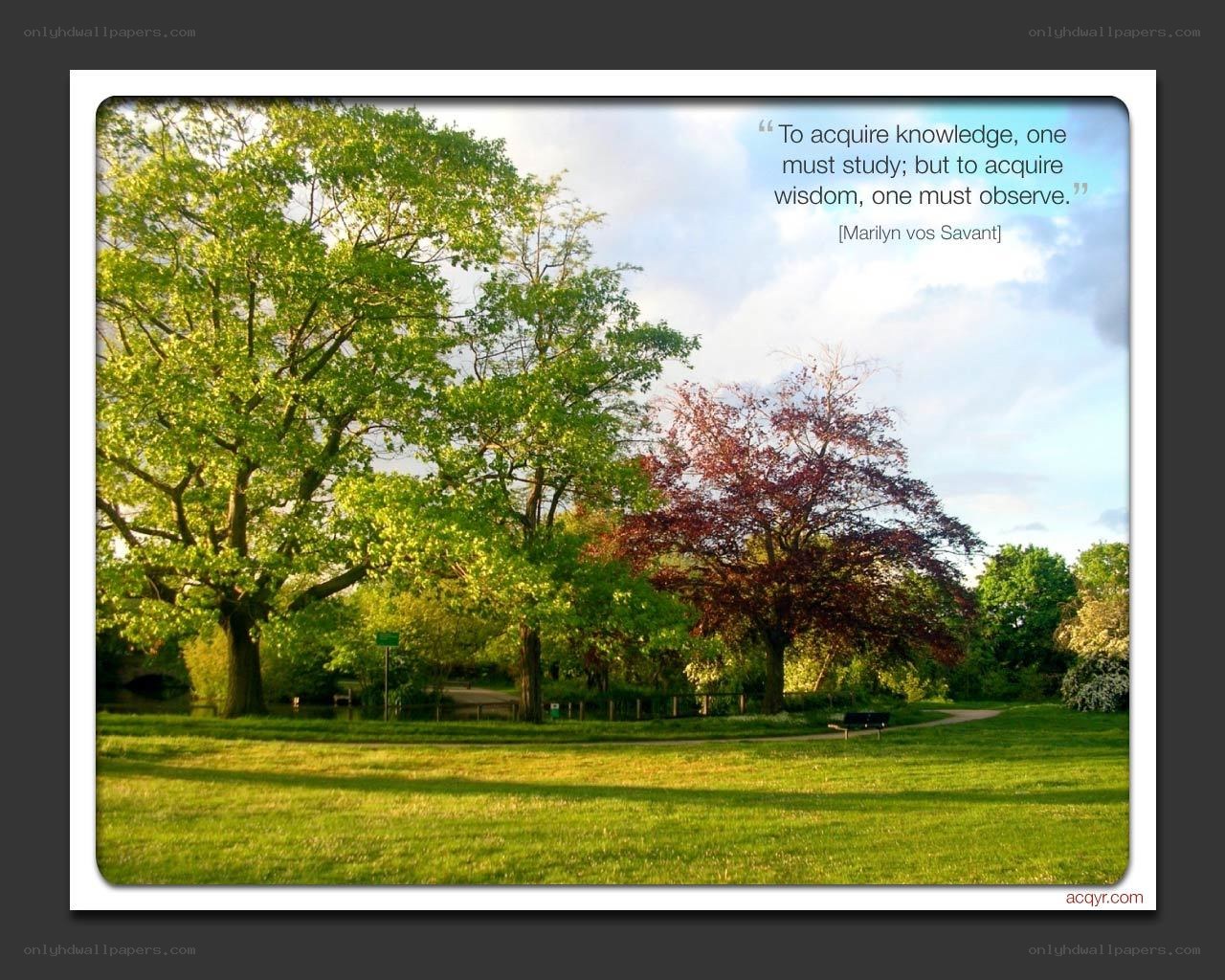 Park with quote on wisdom