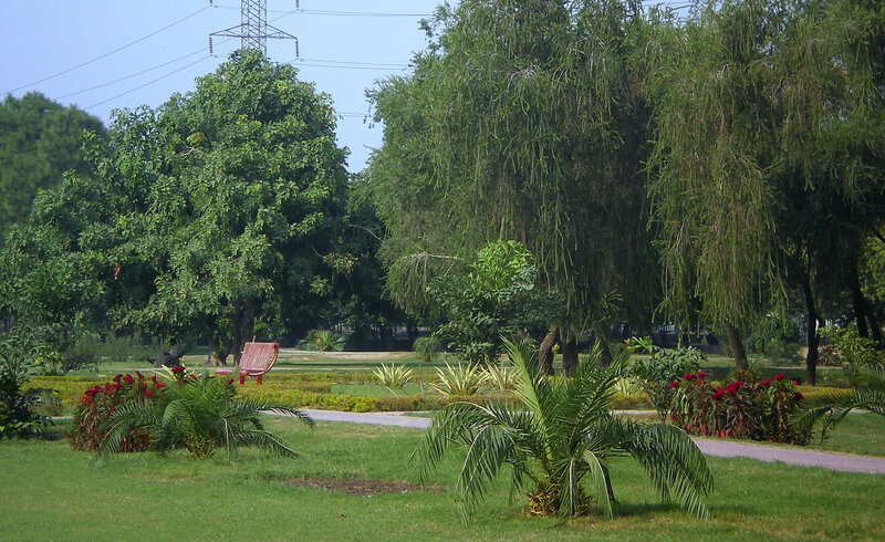 Park with red bench and trees