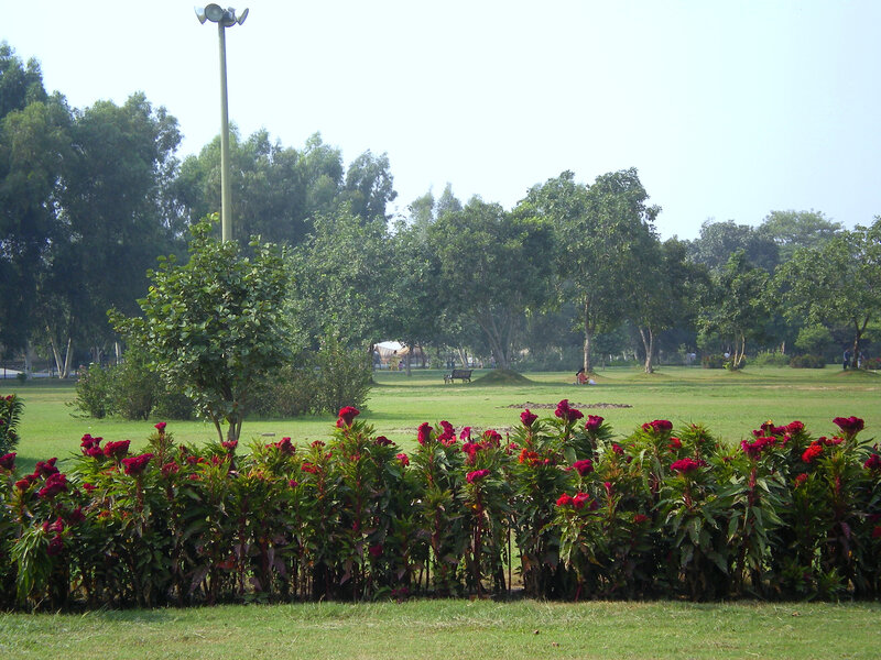 Park with red flowers and trees