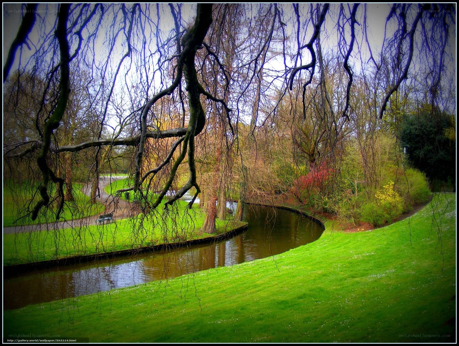 Park with River and Weeping Willow