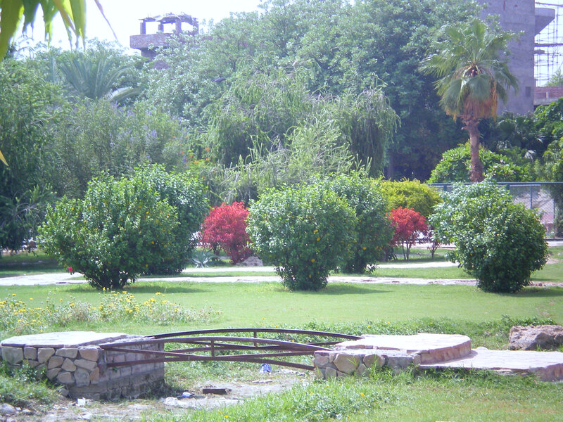 Park with small bridge