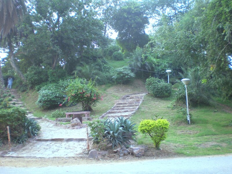 Park with stone steps and greenery