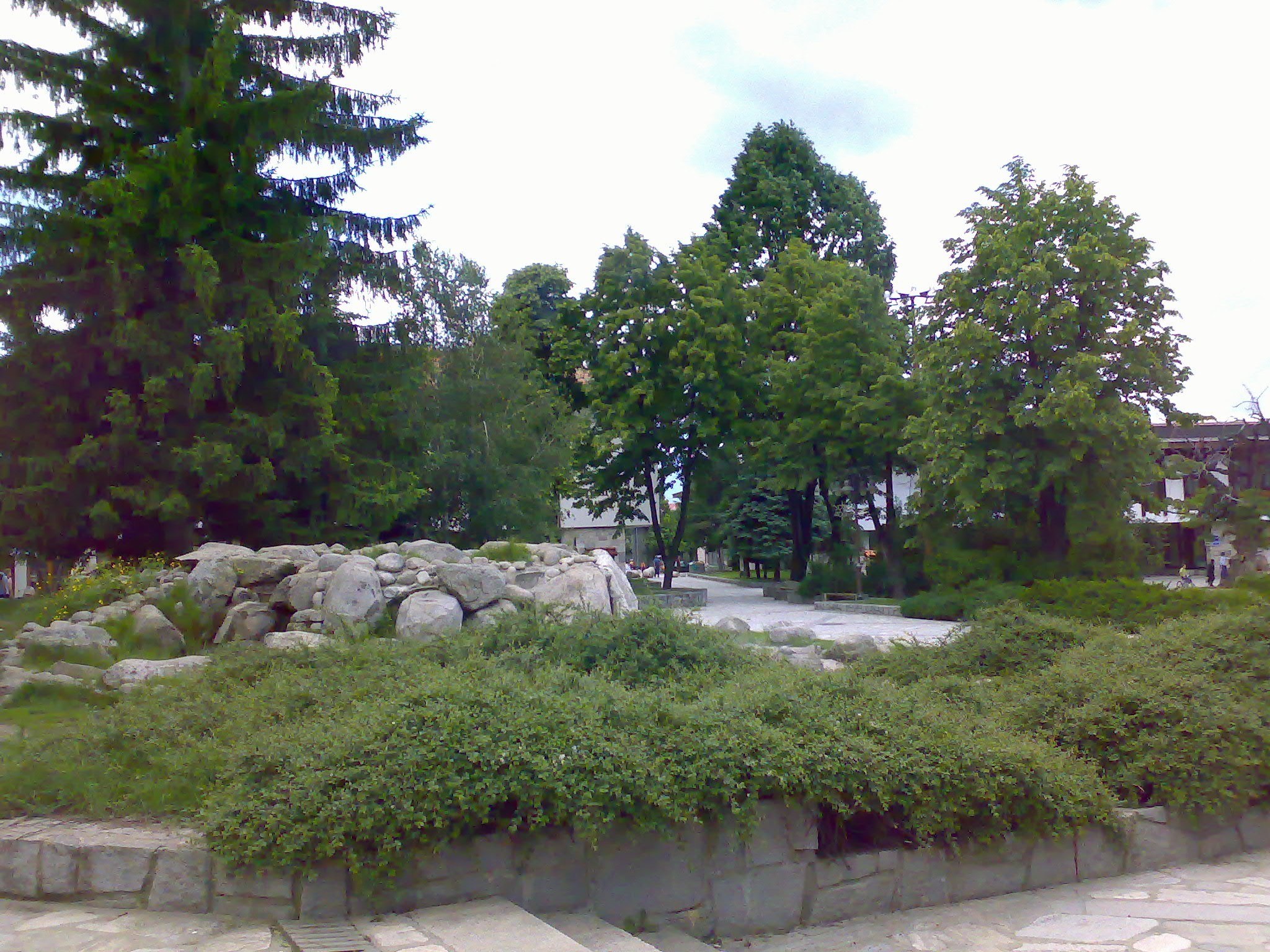 Park with stone wall and trees