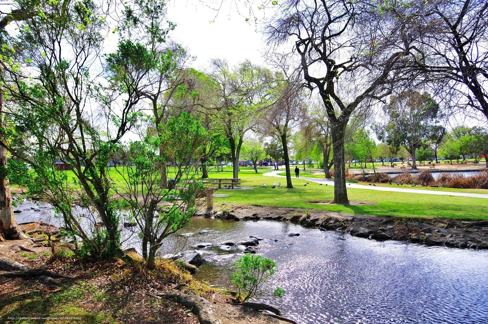 Park with stream and green lawn