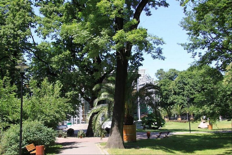 Park with Trees and Bench — Green