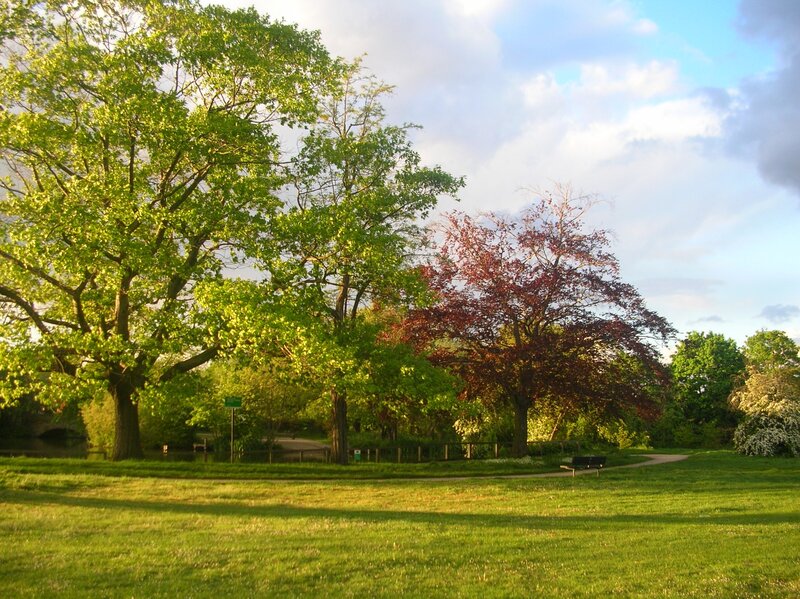 Park with trees and bench