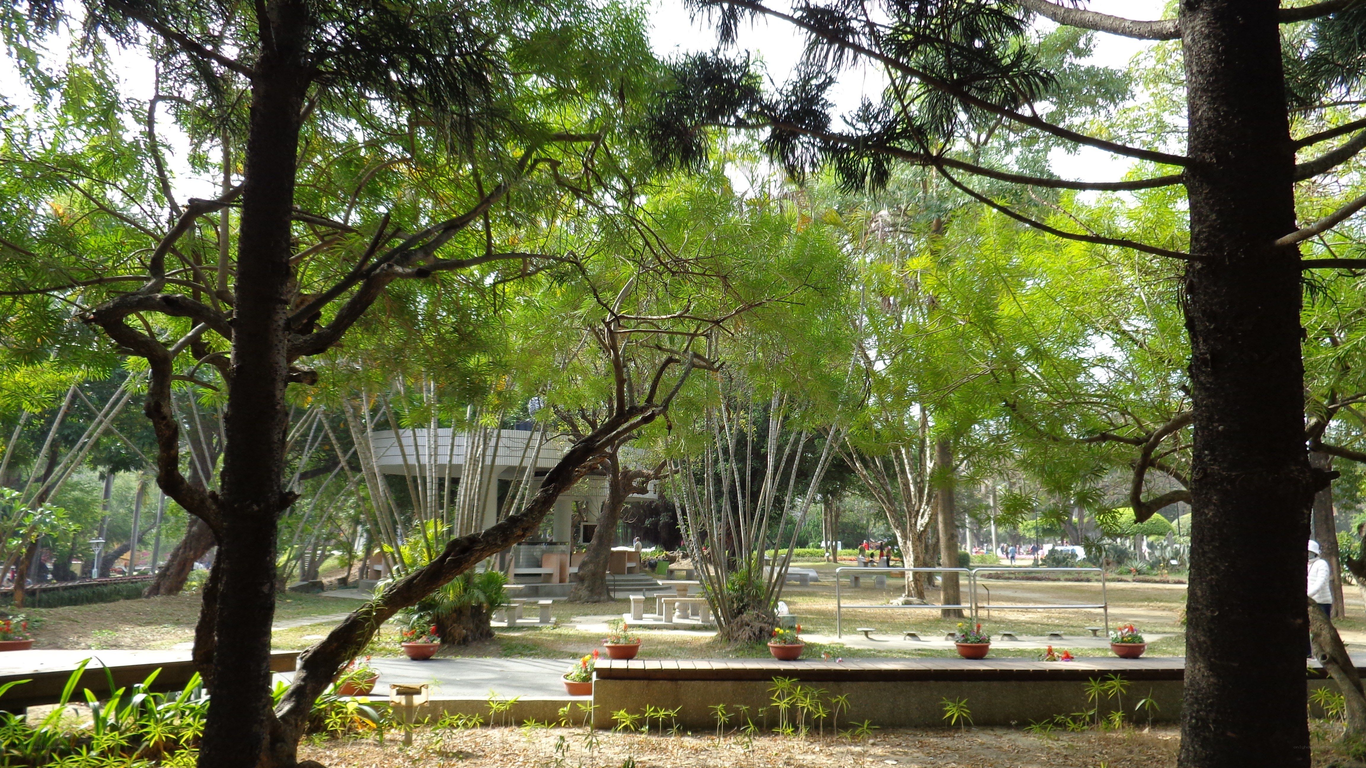 Park with trees and benches