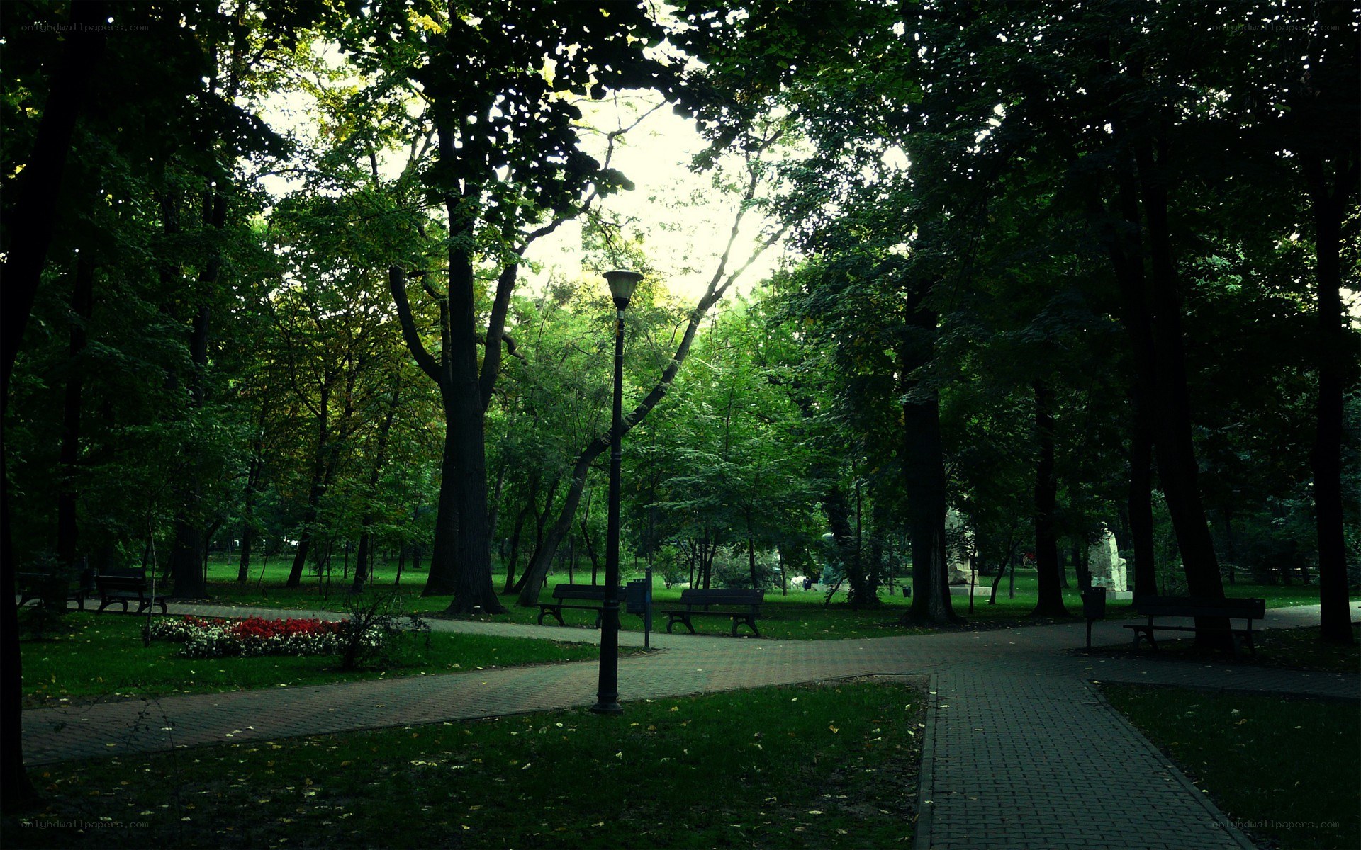 Park with trees and benches