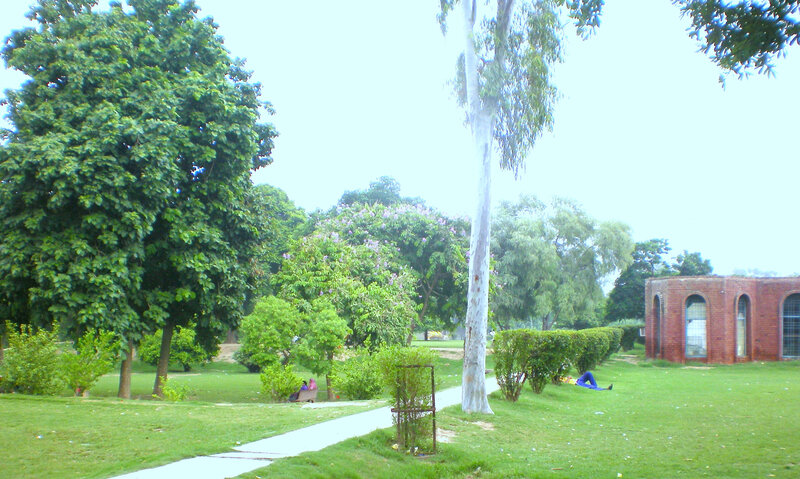 Park with trees and brick building