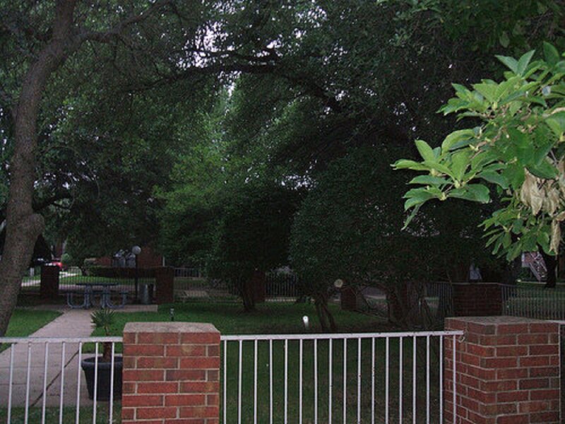 Park with Trees and Fence