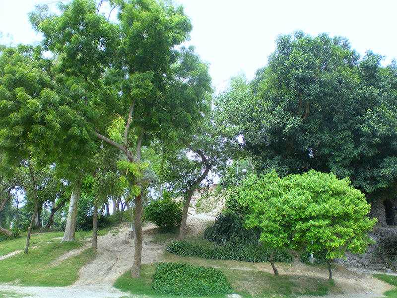 park with trees and paths