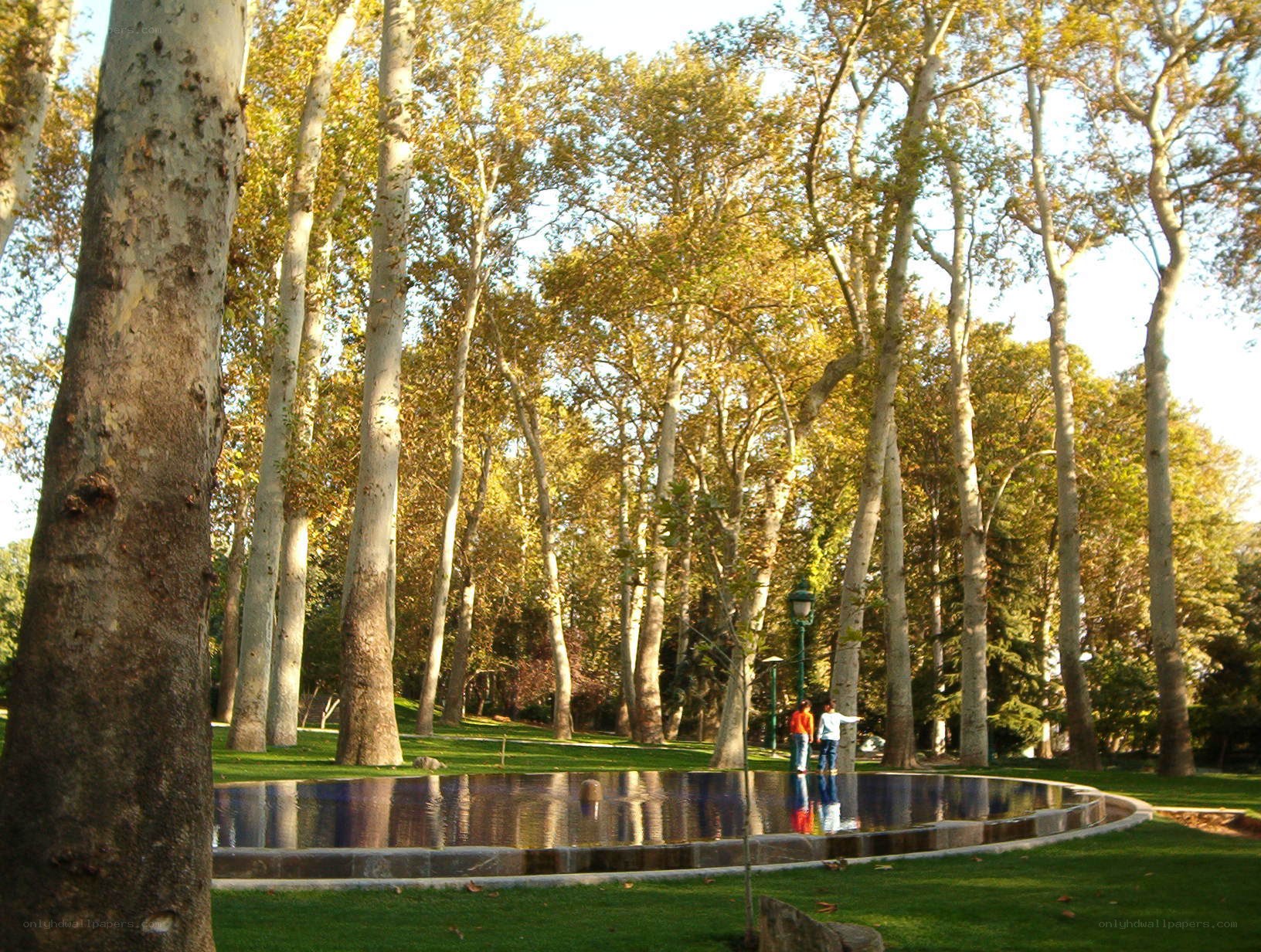 Park with trees and pond