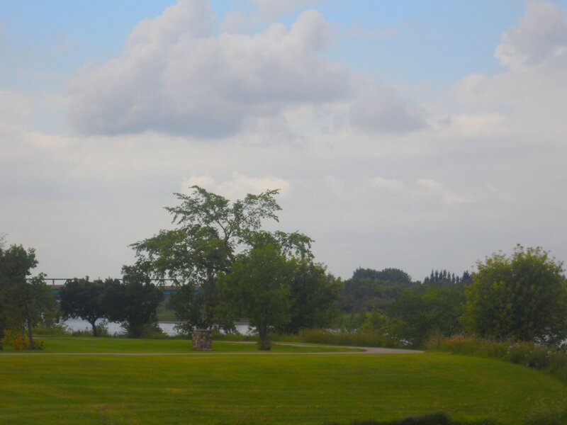 Park with Trees and River