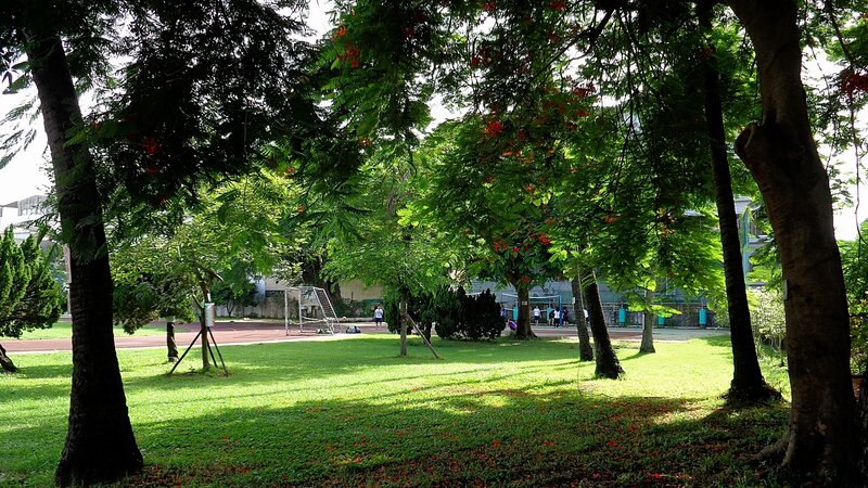 Park with trees and sports field
