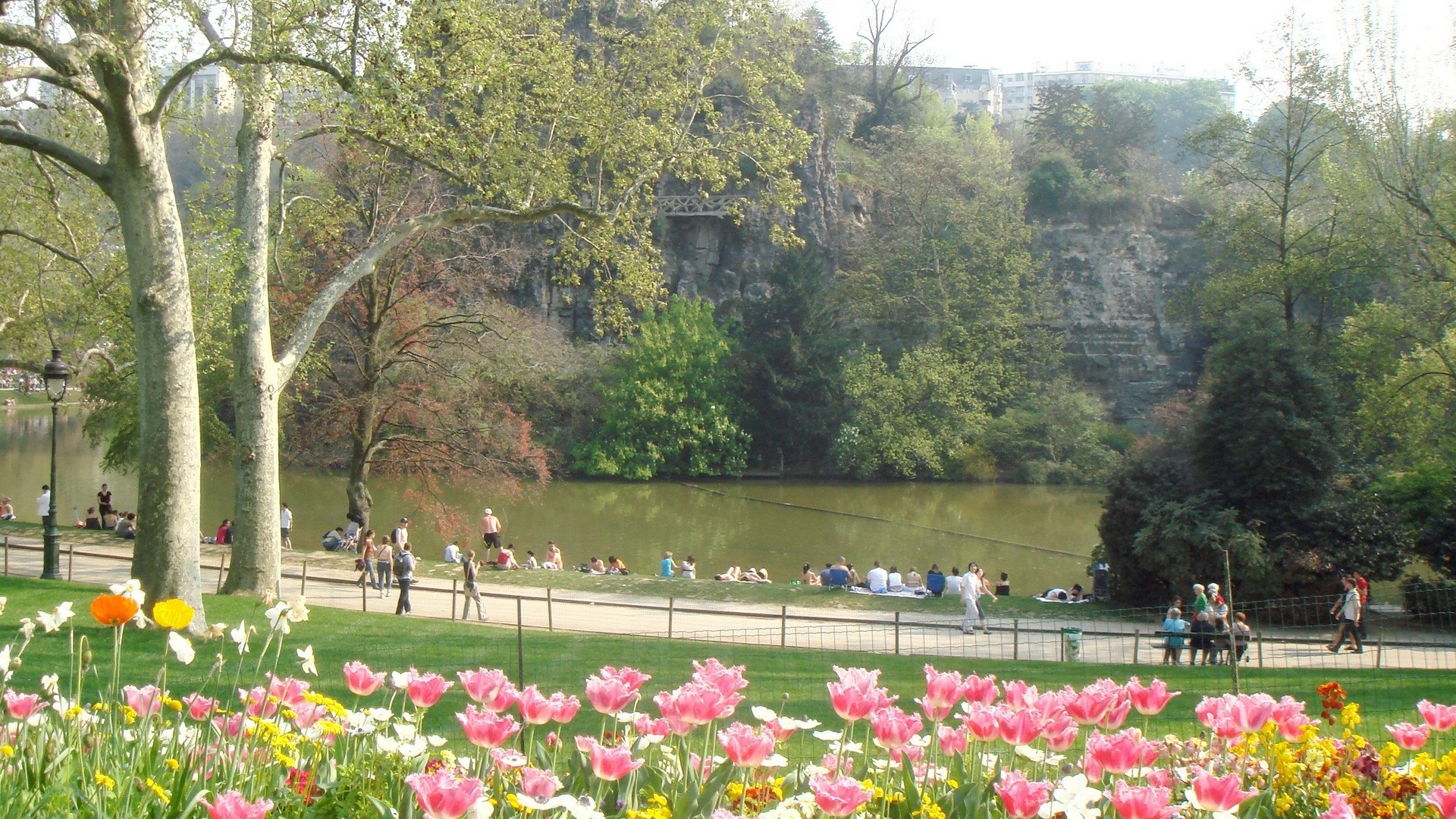 Park with tulips and lake