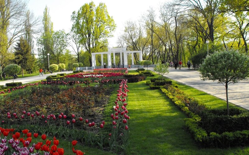 Park with tulips and pavilion