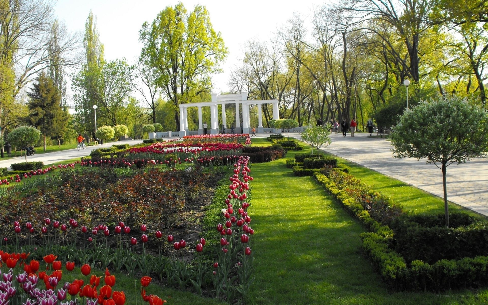 Park with tulips and pavilion