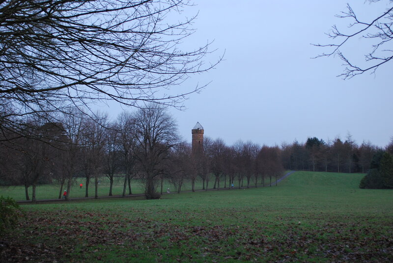 Park with water tower in distance