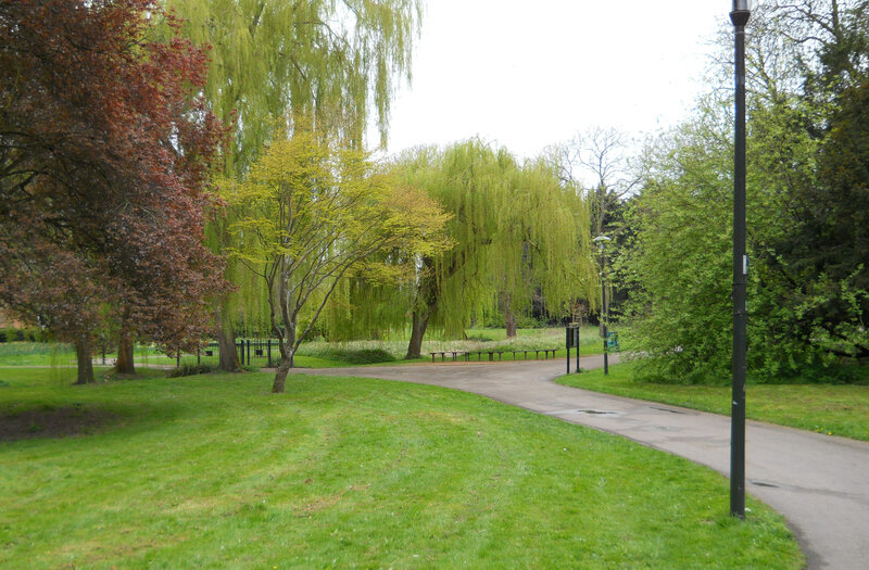Park with Weeping Willow