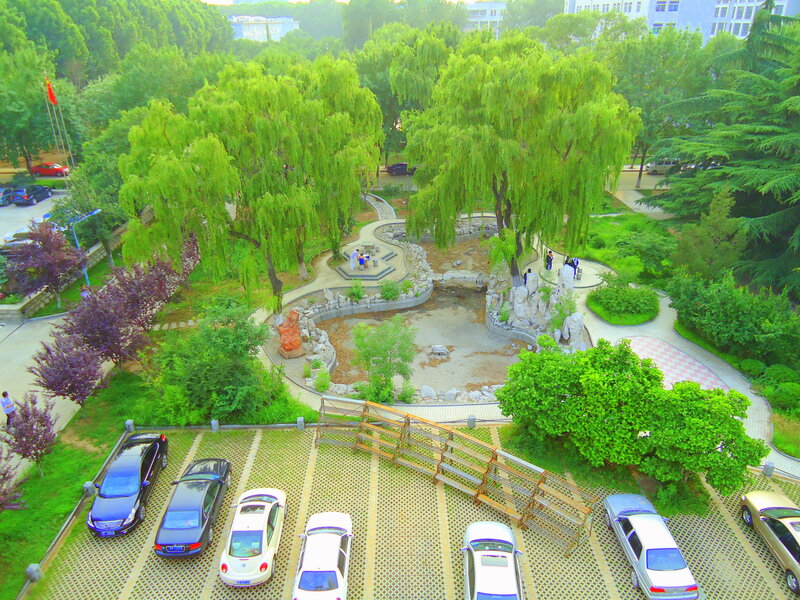 park with willow trees and pond
