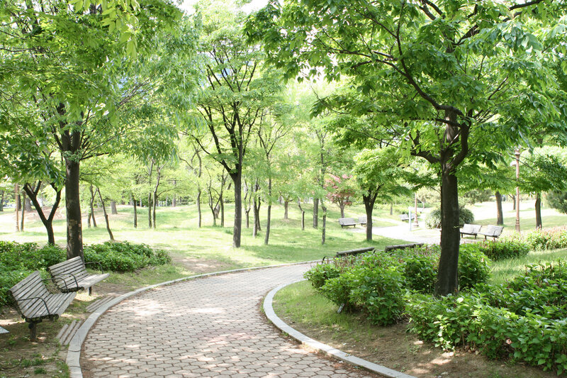 Park with winding path and benches