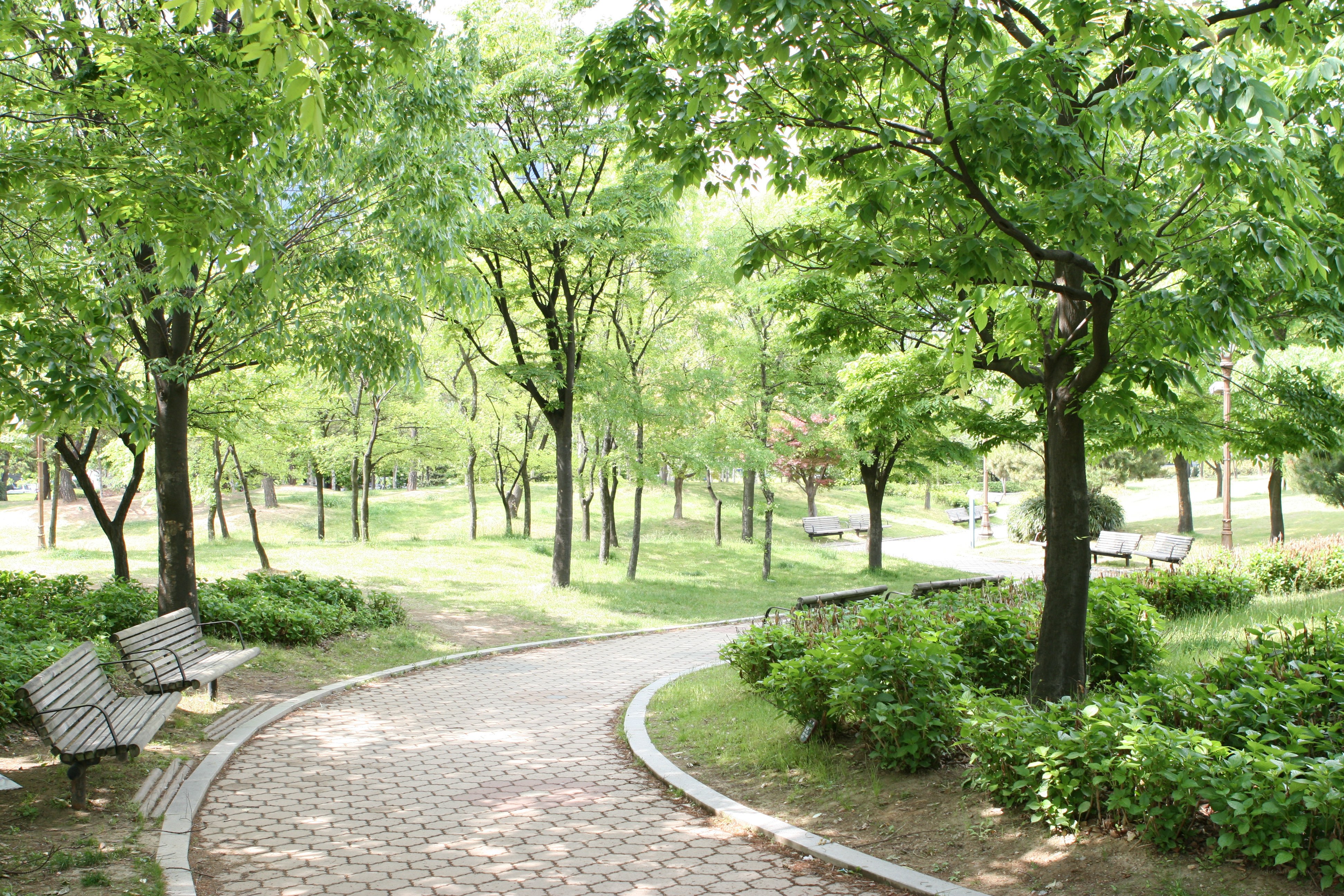 Park with winding path and benches