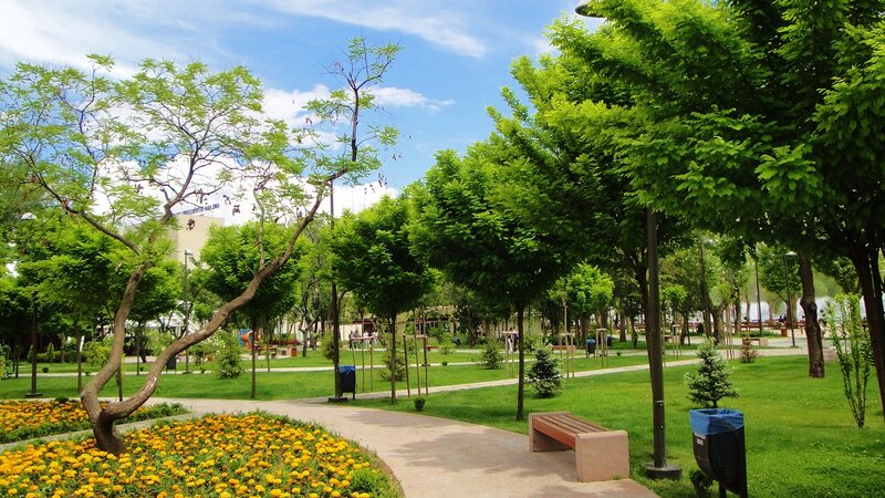 Park with Yellow Flowers — Green