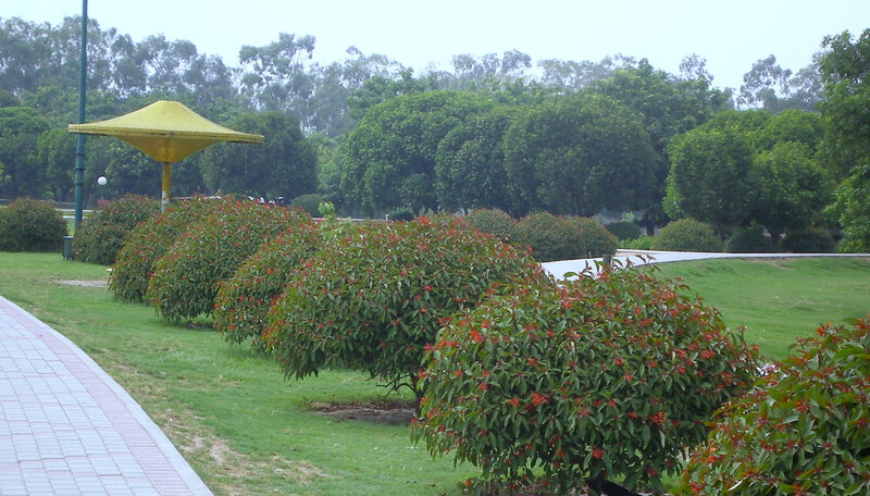 Park with yellow shelter