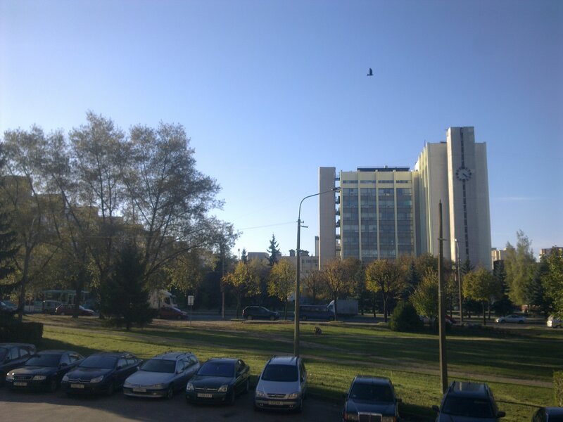 Parked Cars and Building