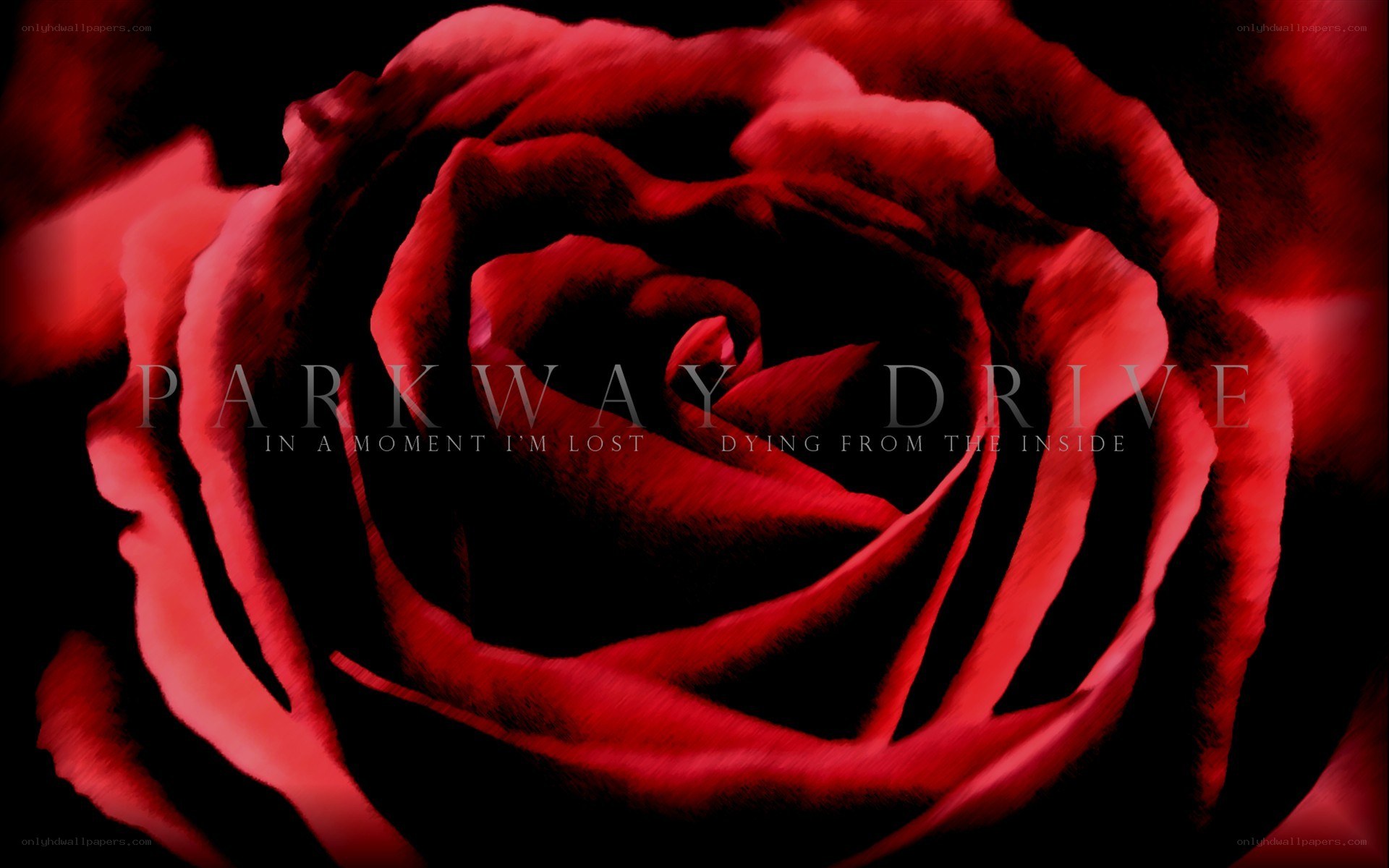 Parkway Drive album cover