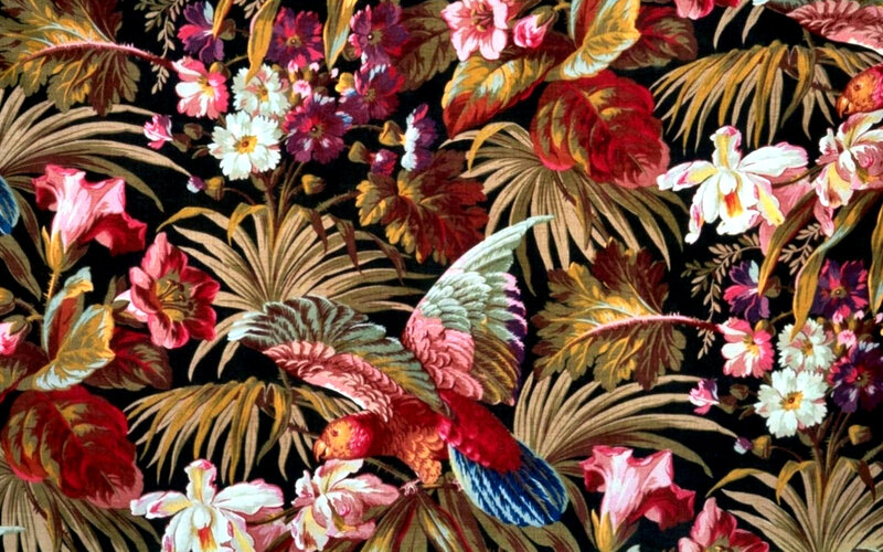 Parrot Among Tropical Plants