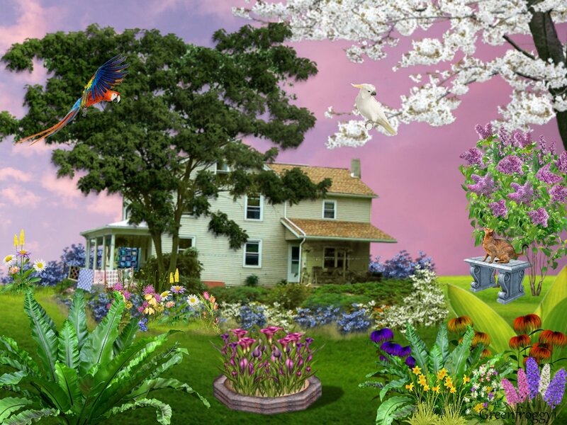 Parrot and Cockatoo in Garden