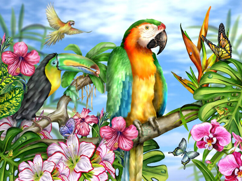Parrot and Toucan on Branch