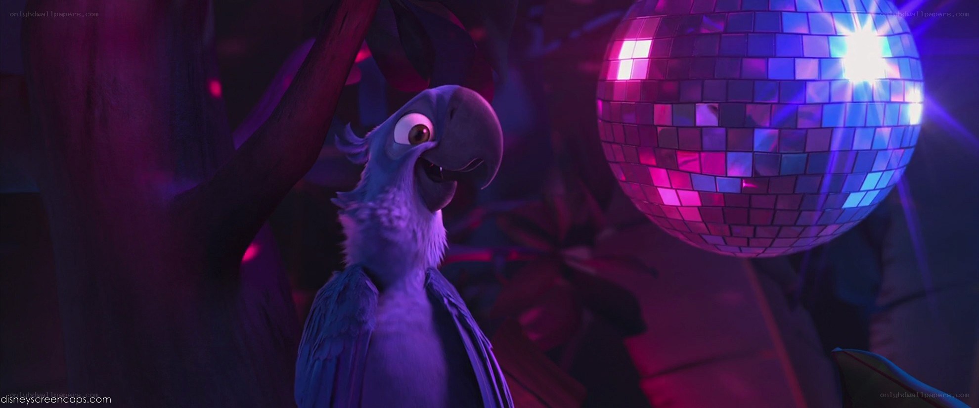 parrot at a disco party