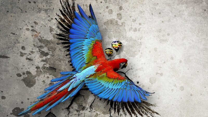 Parrot breaking through concrete