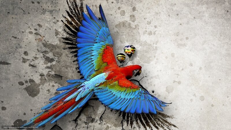 Parrot breaking through concrete