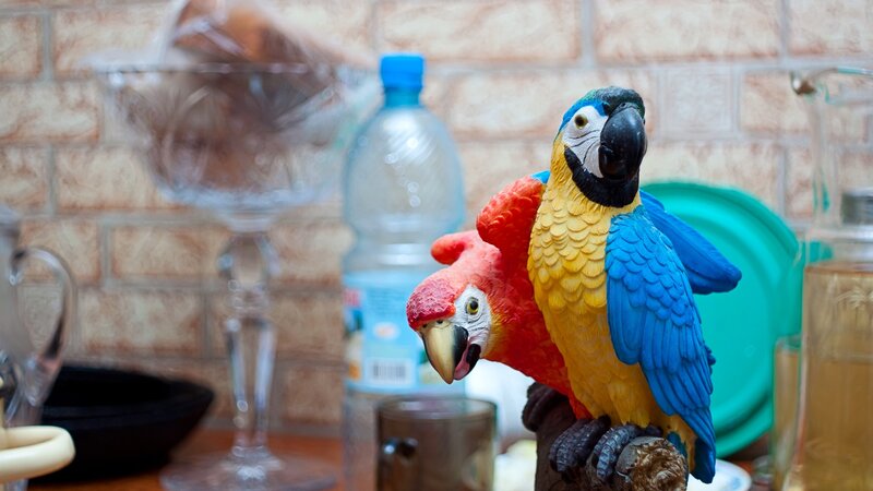 Parrot figurines on a table