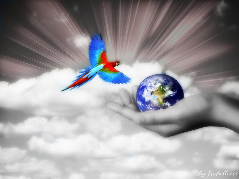 Parrot Flying over Earth — Blue