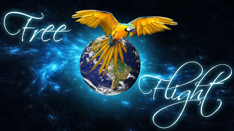 Parrot Flying over Earth