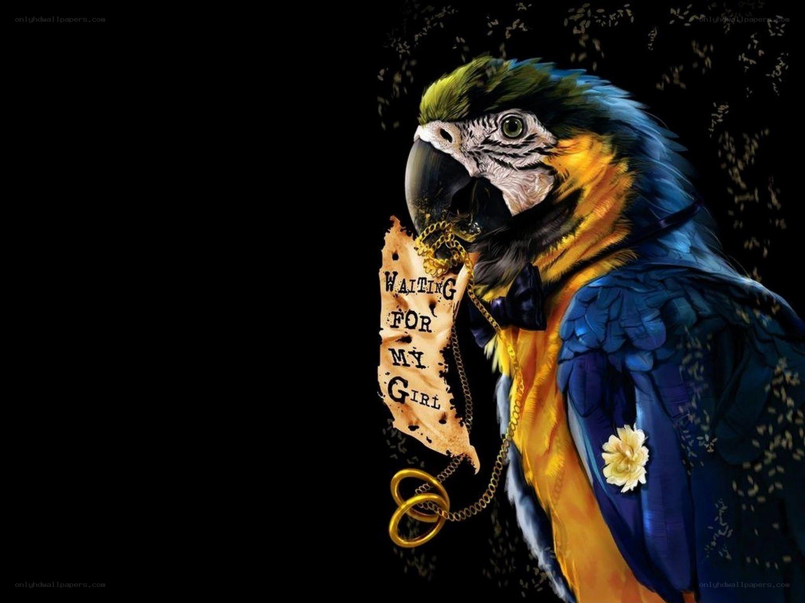 Parrot holding a sign