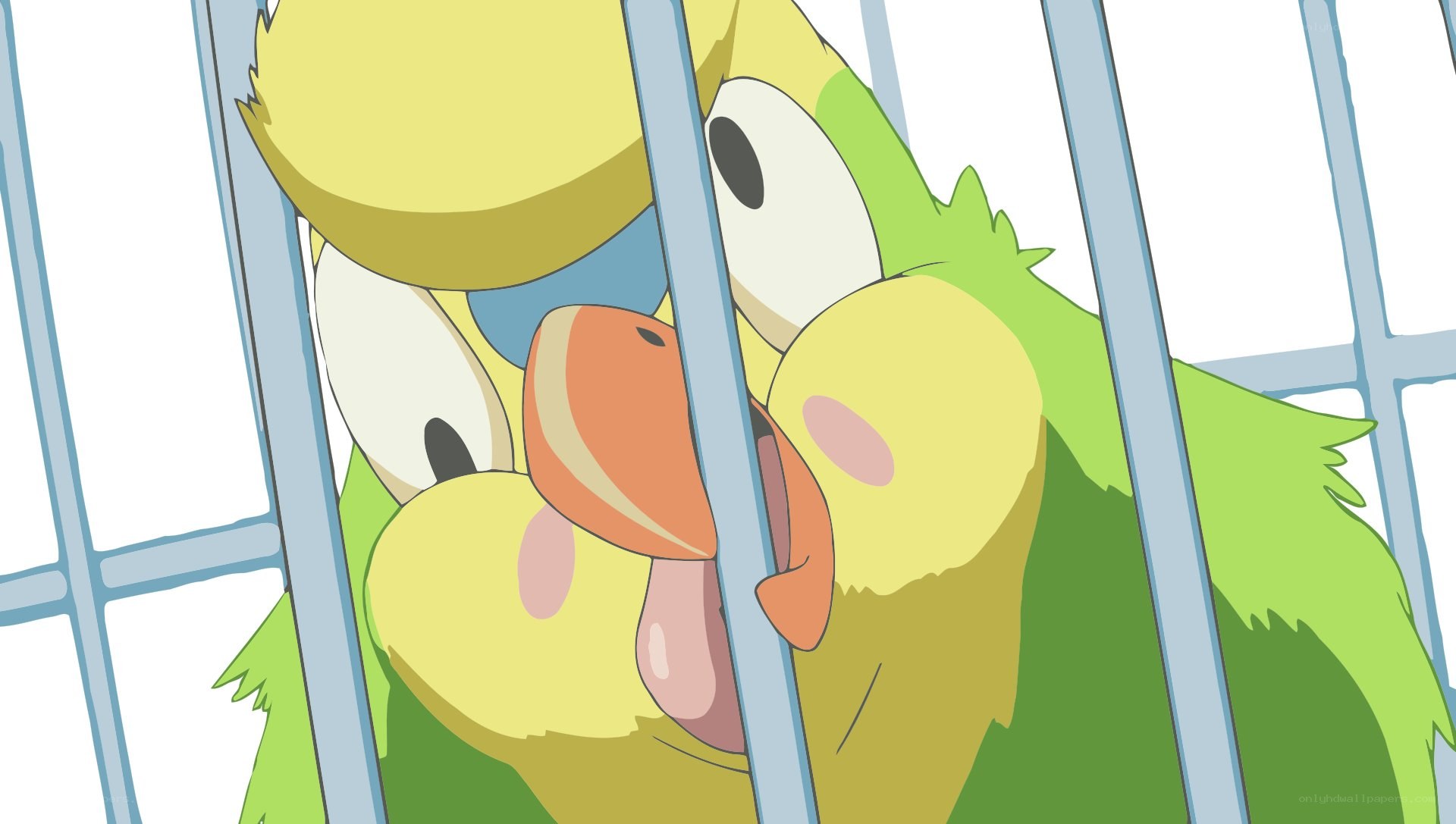 parrot in a cage