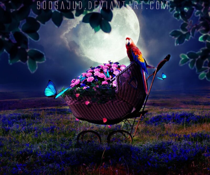 Parrot in Baby Carriage