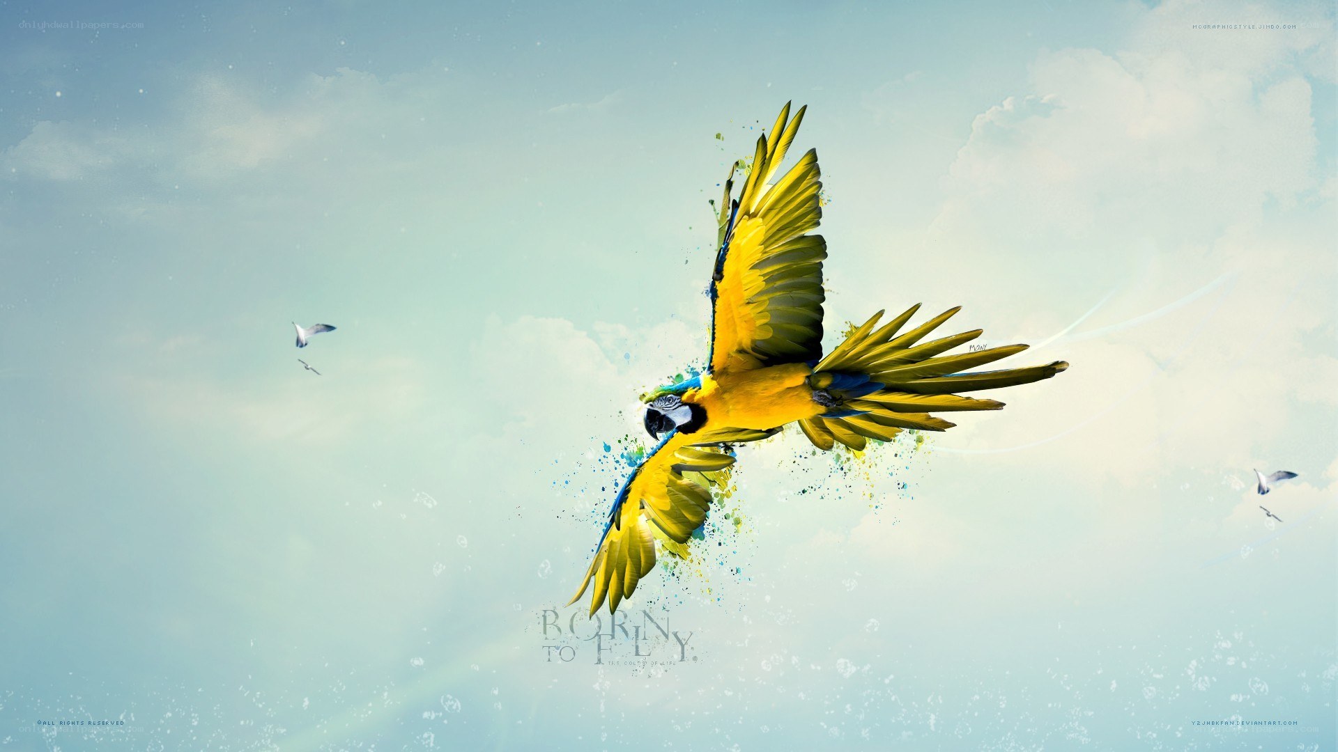Parrot in flight with paint splatter